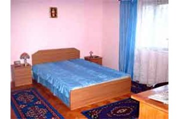 Rumānija Privát Săpânţa, Eksterjers